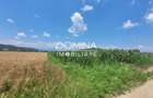 Vânzare teren intravilan, 3504 mp, sat Ceauru, comuna Bălești - 5