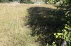 Teren 22.500 mp Saru Dornei - Neagra Sarului, intrav+extrav, intre case, acces f ok, 100 mii euro - 7