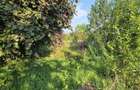 Teren intravilan 1430 mp de vanzare in Brebu
