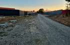Teren 1450 mp intravilan, construibil Carpinis