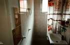 Apartament 2 camere Aleea Savinesti - 2