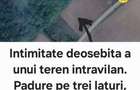 Teren intravilan unic, zona noua langa padure, Bucuresti si Ilfov - 5