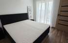 Apartament spatios de inchiriat cu 3 dormitoare Cartierul Unirii (zona noua) - 5