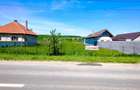 Oportunitate de Investiție. Teren 5.000 mp în Podul Oltului. - 3