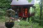 Cabana lemn 3 camere, teren 1.700 mp, Bughea de Jos Arges - 8