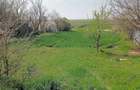 Teren de 6300 mp, în Vasile Alecsandri - 2