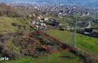 Teren de vanzare in Curtea de Arge?. - 1