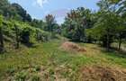 Teren 2,800mp de Vanzare - Crihan(Magura) - Bacau - 5