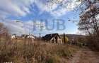 TEREN 1095MP -PODIS -DN 2G- BACAU -MOINESTI - 2