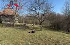 Casa si anexe cu un teren de 7701 mp de vanzare in Stauini Jud Alba