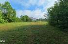 Domeniu de 13.054 mp cu vila de ~1.000mpc si lac privat Teisori, Bulbu