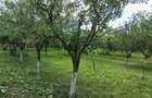 Vand teren intravilan - 5