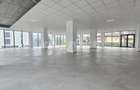 Spațiu comercial în zona Dambul Rotund I Taietura Turcului - 2