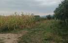 Teren Cepari 500mp 5000 Euro - 6