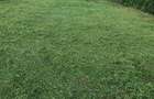 Teren intravilan 2.200 mp in Poenari (Ulmi, Giurgiu) imprejmuit, cu pu?, livada ?i solar - 3