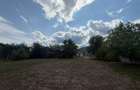 Teren comercial de inchiriat, 2630 mp, urban - 5