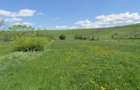 Teren Borosneu Mic, 3300mp - 1