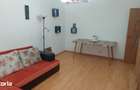 Apartament cu 2 camere decomandat în Nord - 9