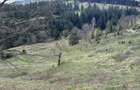Vand teren Intravilan - 3