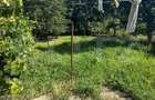 Casa cu etaj, 160 mp utili, 1352 mp teren, zona Burdujeni - Suceava (Suceava)