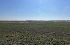 Teren intravilan, 5000 mp, zona Peugeot - 1
