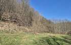 Teren Ideal Cabana Pensiune Valea Draganului, Vedere Panoramica ?i Utilita?i - 1