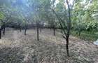 Teren intravilan de vanzare, 900 mp, Dej - 11