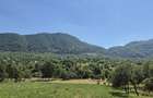 Casa de vacan?a cu teren 39 ari Magureni, Maramure? , Pret 45.000 - 1