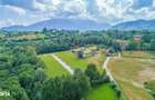 Teren 500mp Tohanita (intre castelul Bran si Zarnesti), langa padure
