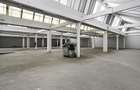 Hala Industriala de inchiriat 1.174 mp cu rampa egalizatoare, Arad - 8