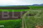 Teren extravilan de vanzare, 2.700 mp - zona Cristur - 1