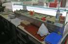Vand container fast food + magazie complet utilat - 5