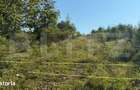 Teren extravilan, de vanzare, 1.500 mp, zona Valea Ghinzii-strada Palt - 4