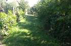 De Vanzare: CASA + TEREN INTRAVILAN , 2918 mp, sat Ghizdavesti, comuna CELARU, DOLJ - 7