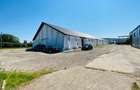 Hale Tg. Neamt, bd. St. cel Mare, depozitare, de la 250mp la 2000mp - 17