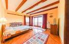 Vila/Proprietate Speciala, 500mp utili, 3300mp teren, Sangeorgiu de Ms
