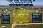 Teren intravilan 680 mp, PUZ in lucru, toate utilitatile, Dezmir - 1
