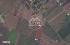 Teren Intravilan 20.000 mp Creata Dascalu, T66 dubla deschidere - 7