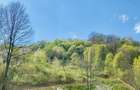 Teren vedere panoramică lac Paltinu si dealuri împădurite in Valea Doftanei - 17