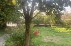 Poiana Campina - casa P+E - teren 1300mp - 500000 Euro