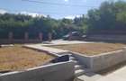 Vind acasa in tomesti - 3