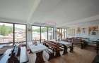Oportunitate de investi?ie, Restaurantul Piatra Graitoare,Vartop,Bihor - 7