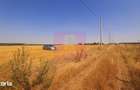 Teren pentru casa/case in Brane?ti pe strada Topora?i