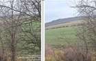 Teren cota parte 1/12 Deleni, ID: R2662164 - 8