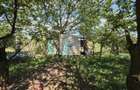 Vila P+1 in Simeria central 320 mp, teren 1000 mp, toate utilitatile - 16