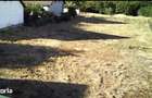 Teren intravilan de construit - 2
