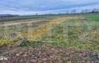 Teren intravilan de vanzare, 1500 mp, in Odoreu - 3