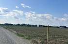 Lot teren intravilan Ciolpani - padurea Snagov - 1