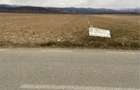 Teren intravilan Vadu Crisului 2738 mp, asfalt, doua intrari - 4