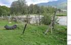 Vand teren intravilan 2121 mp, in Jud. Arges-Nucsoara - 8